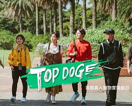 撸撸视频《TOP DOG》免费在线观看