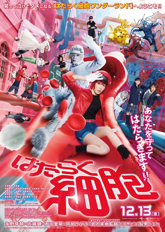 撸先生AV《工作细胞 真人版 はたらく細胞》免费在线观看