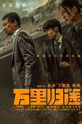 撸撸视频《万里归途》免费在线观看