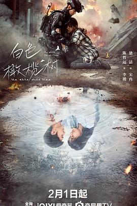 撸管网站《白色橄榄树》免费在线观看