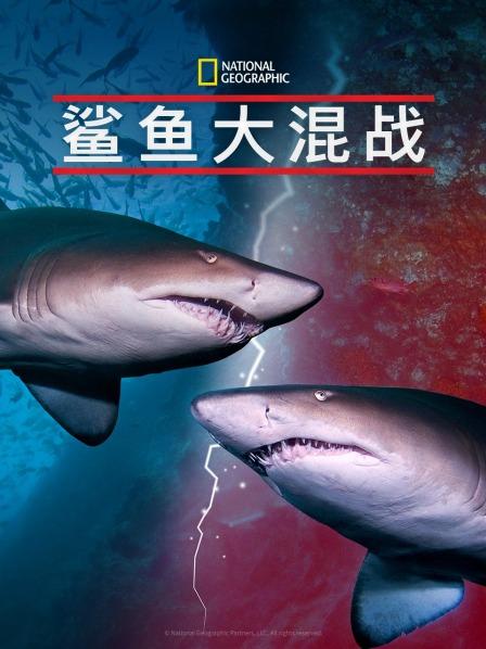 撸撸视频《鲨鱼大混战》免费在线观看