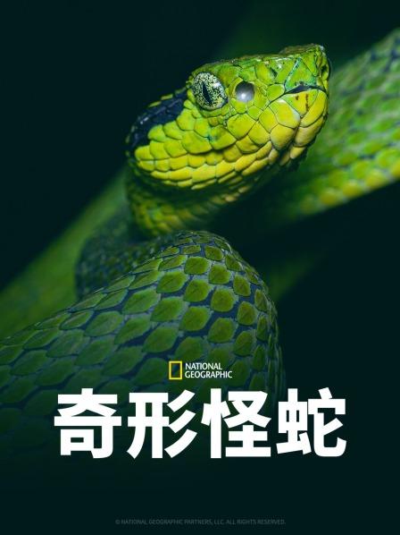撸管网站《奇形怪蛇》免费在线观看